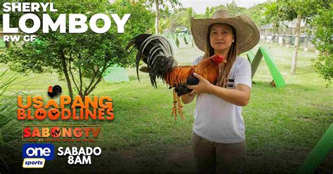 sabong tv usapang bloodline|Usapang Bloodlines with Sheryl Lomboy of RW Gamefarm.